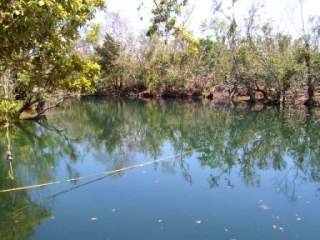 Tulum y sus cenotes